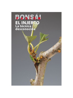 Revista nº98 El injerto Bonsai Pasion