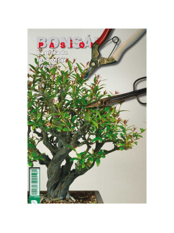 Revista nº83 La poda parte 2 Bonsai Pasion