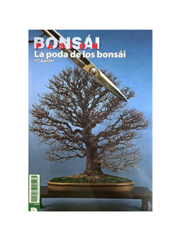 Revista nº80 La poda parte 1 Bonsai Pasion