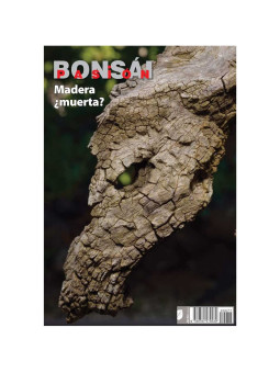 Revista nº77 Madera ¿muerta? Bonsai Pasion