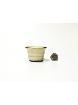 Tiesto redondo 6.5 cm crema 32511/16 bonsai mame kusamono
