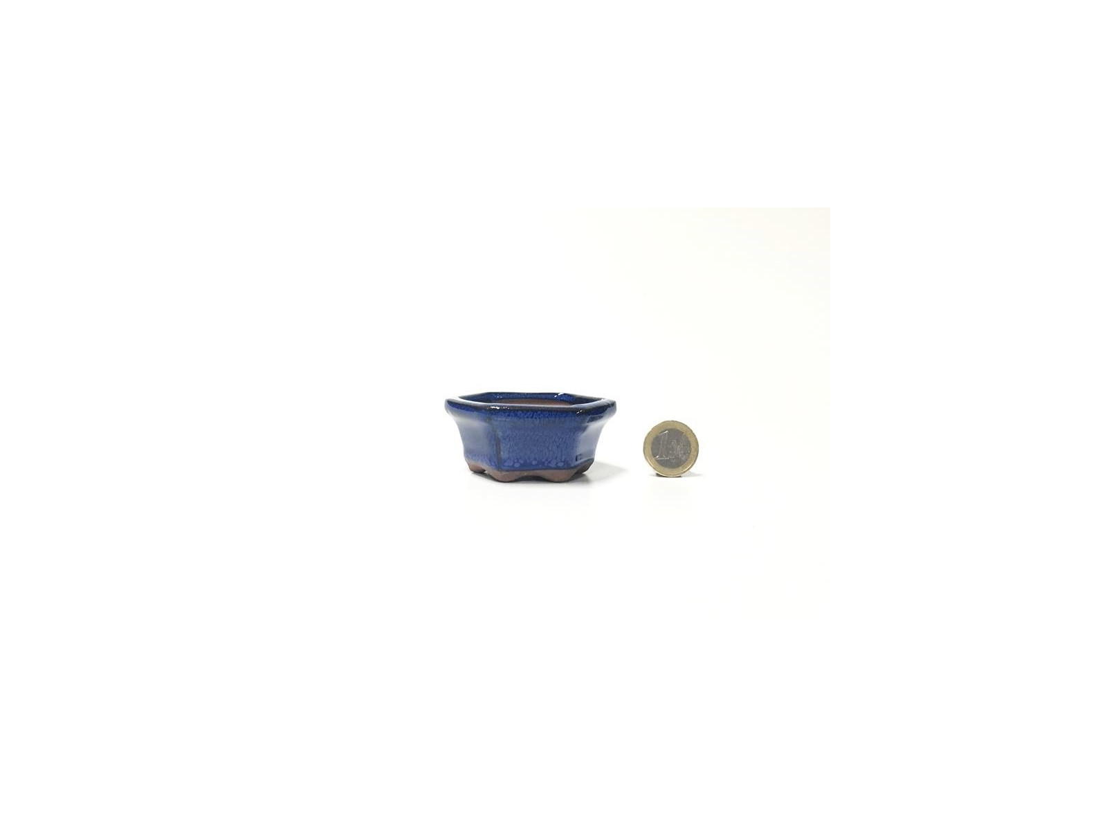 Tiesto hexagonal 7 cm azul 32511/20 bonsai kusamono mame