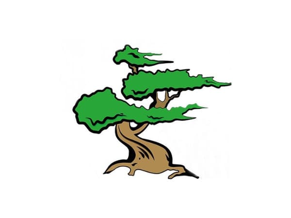 Curso iniciación Bonsai Granada