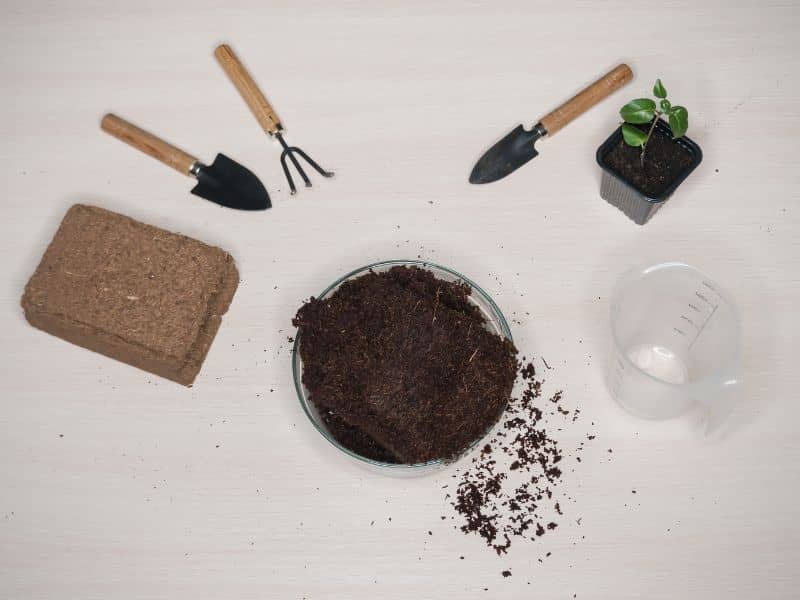 la guia de Tipos de sustratos para bonsai