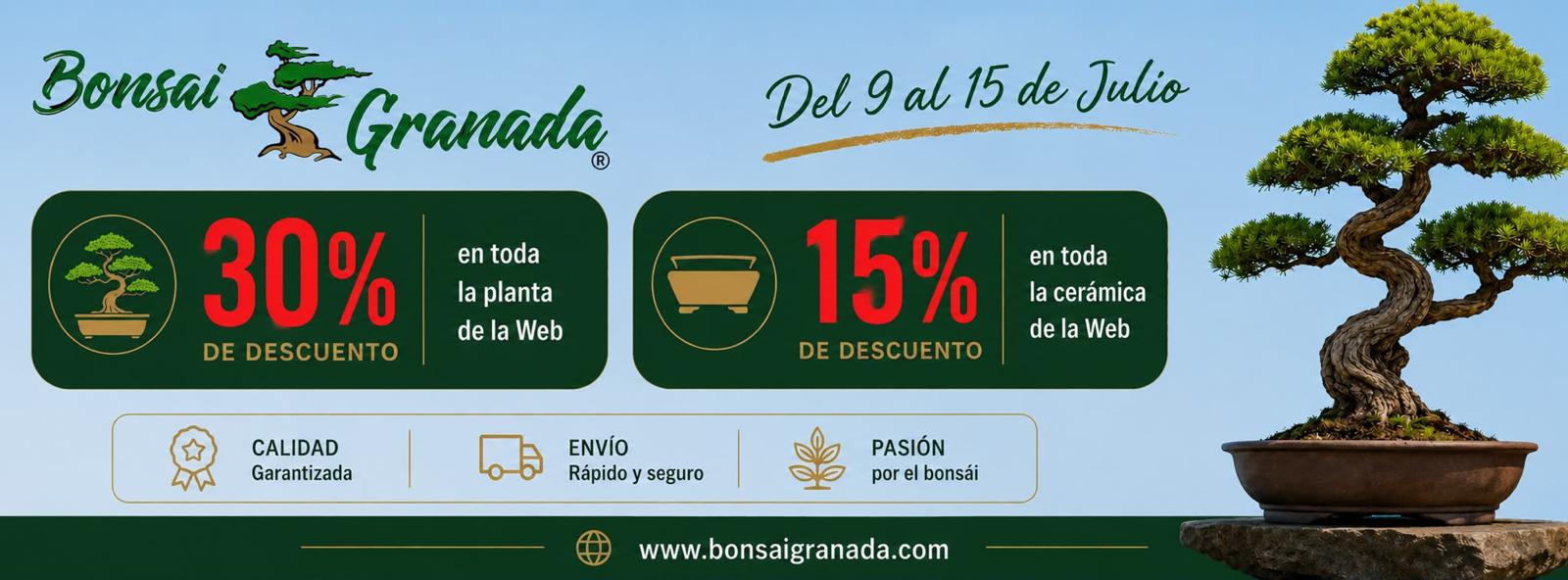 Descuentos - Verano